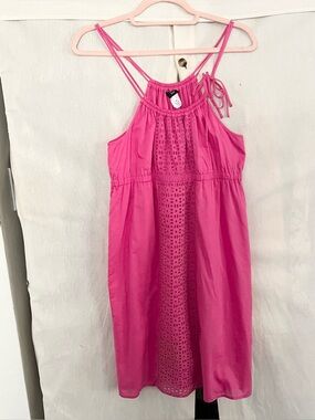 J.Crew Pink Eyelet Sun Dress